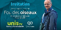 Fou des oiseaux